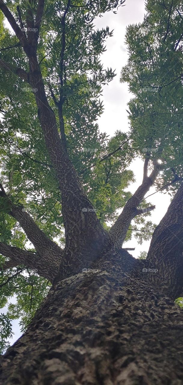 LOOKING UP, its gets BETTER than this from HERE