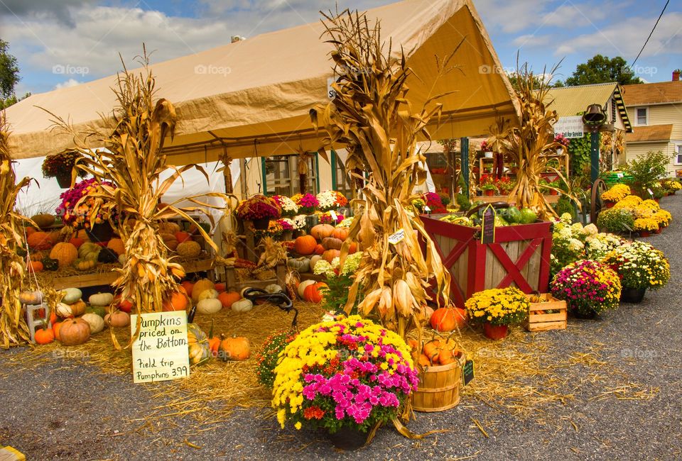 Autumn display at a gardening shop.