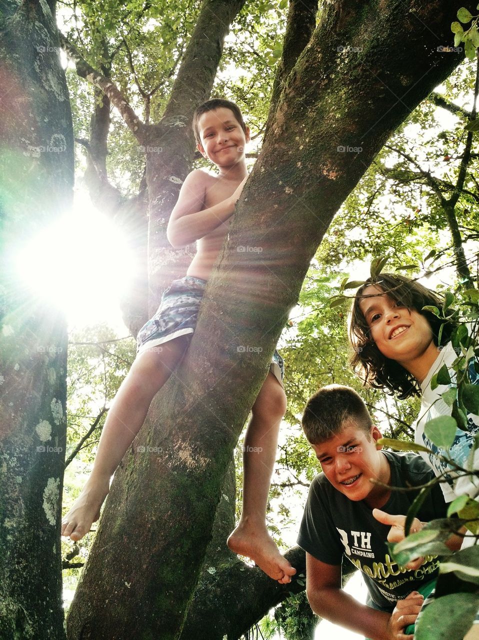 tree climbing