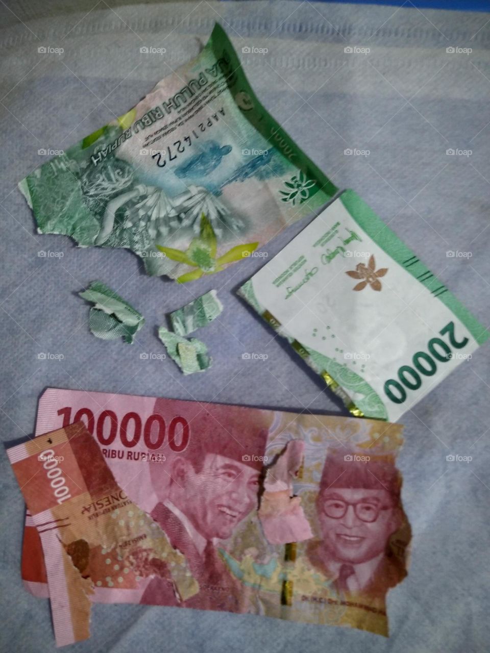 Money is damaged because of our dog.