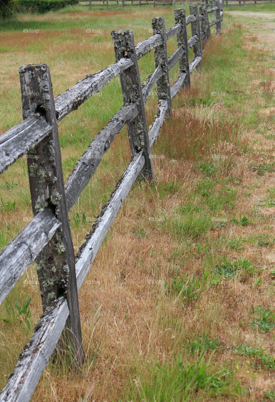 the old prairie fence