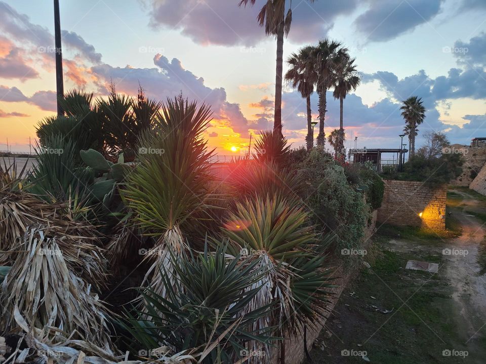Sunset @ Caesarea Philippi, Botanical, Gardens