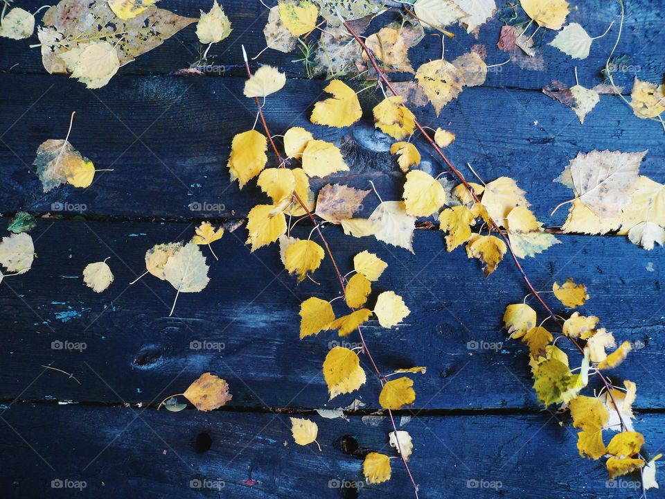 on a wooden table old autumn leaves