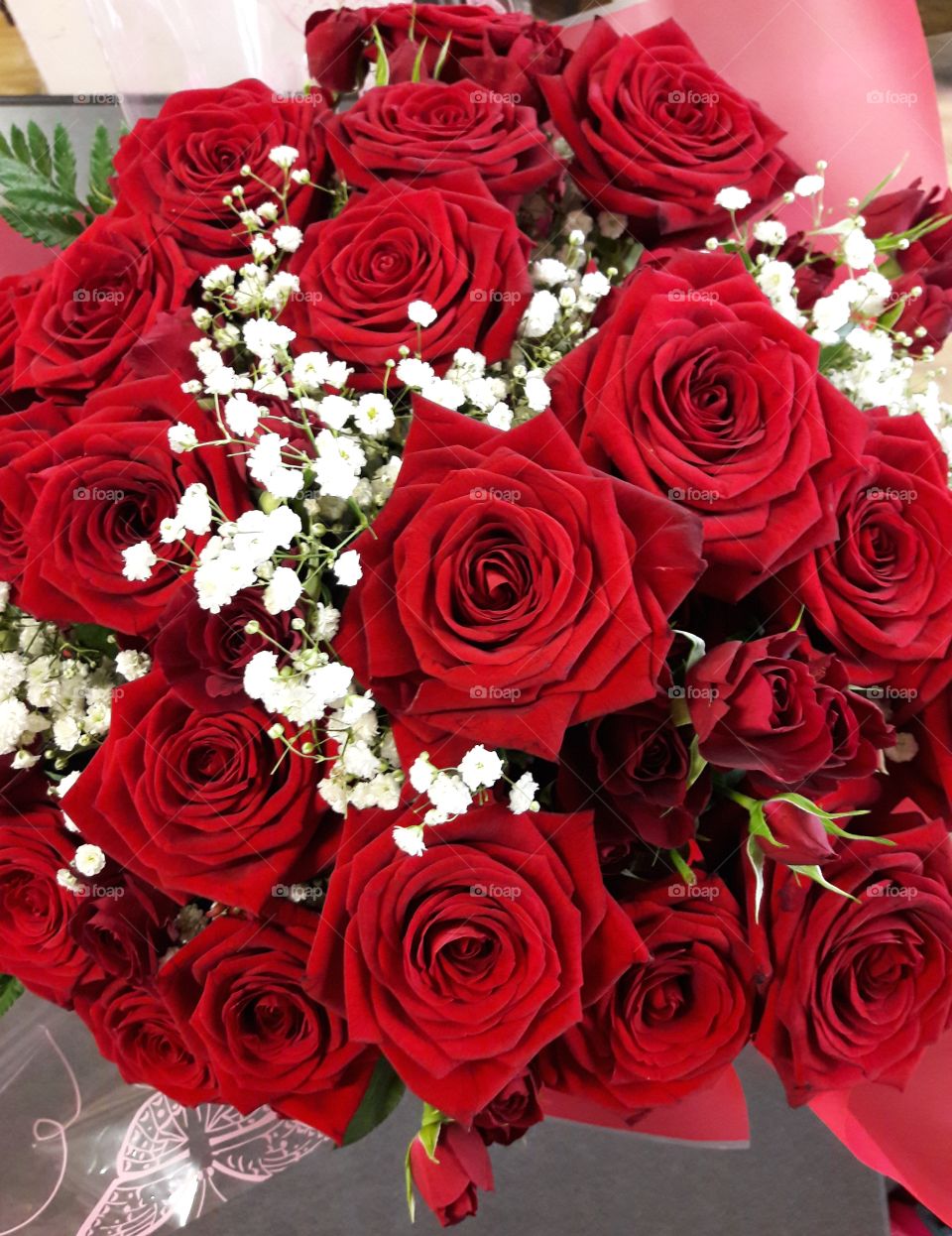 Red Roses