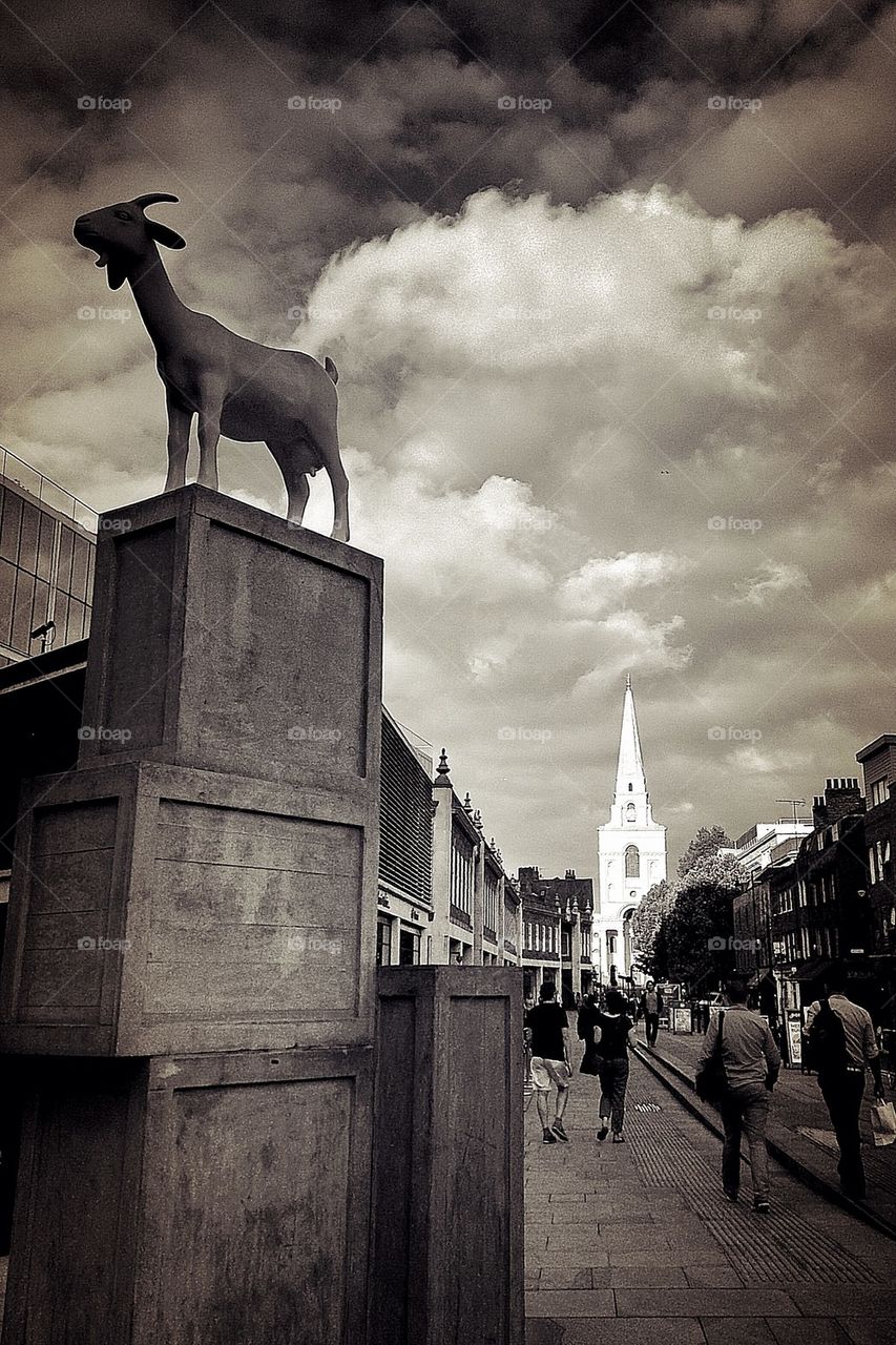 Spitalfields Market