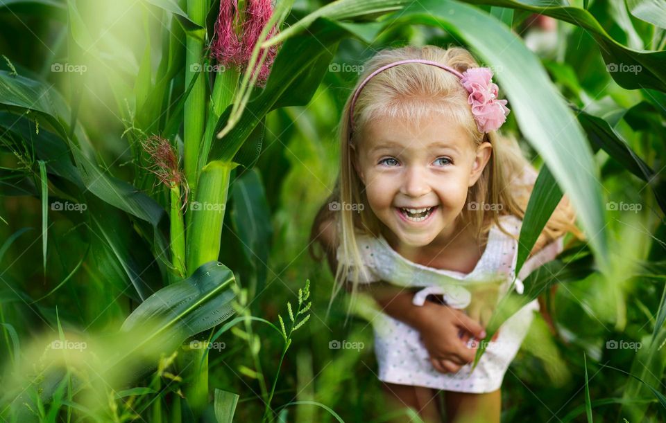 Happy little Caucasian girl in corn field 
