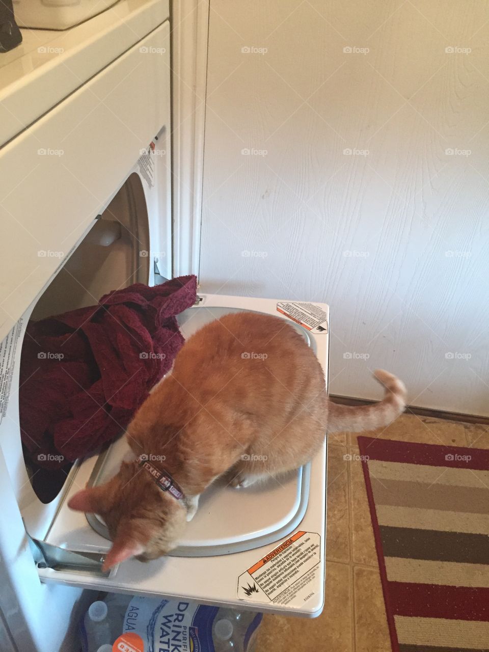 Laundry inspector 