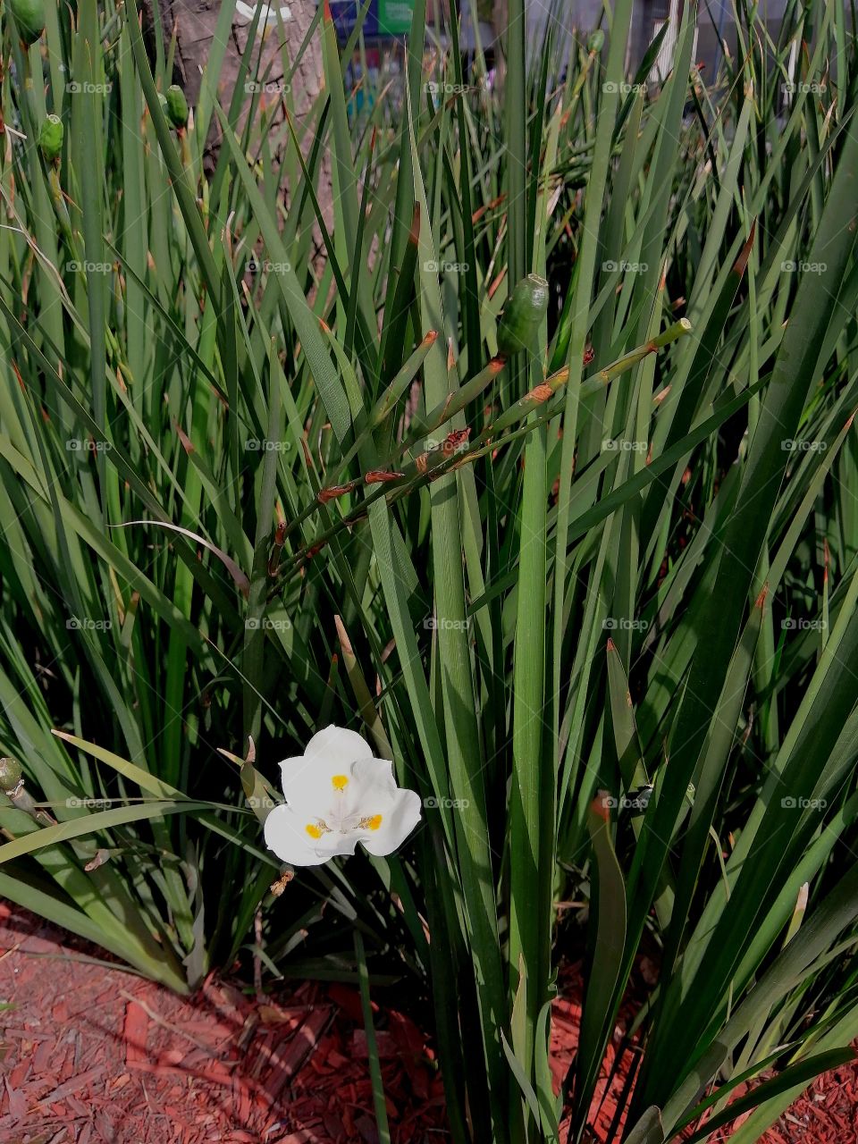 Aprecia lo bonito de la naturaleza!!!!