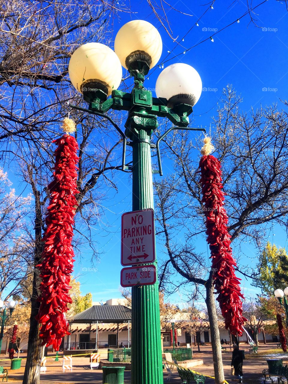 red pepper hanging on the green street lamp