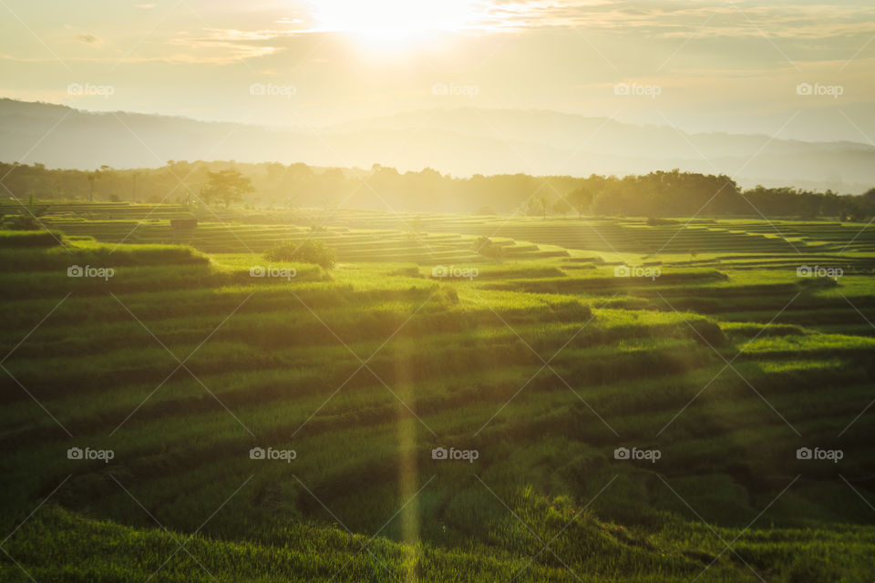 Sunlight in the morning