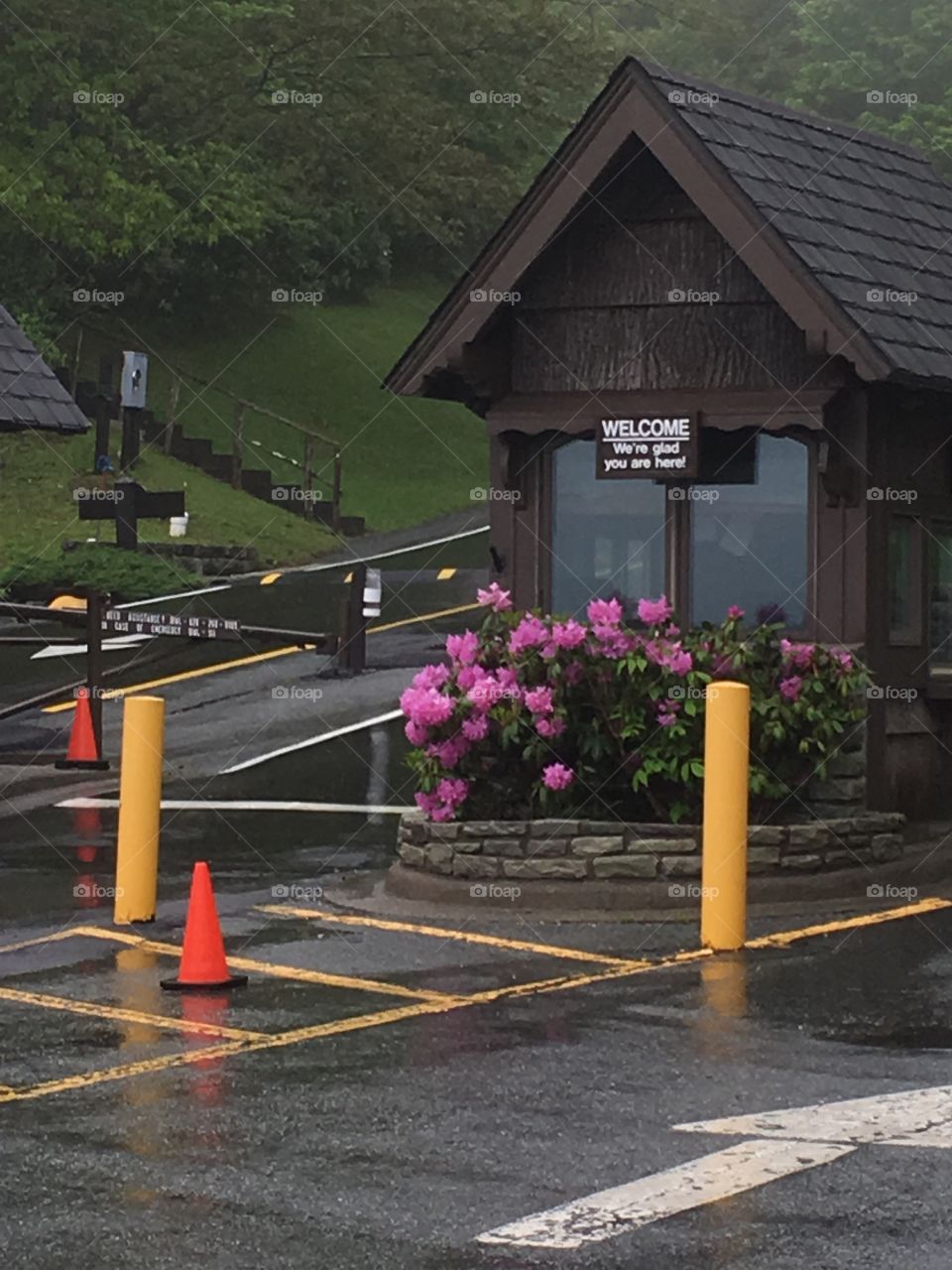 The gate to the Grandfather Mountain