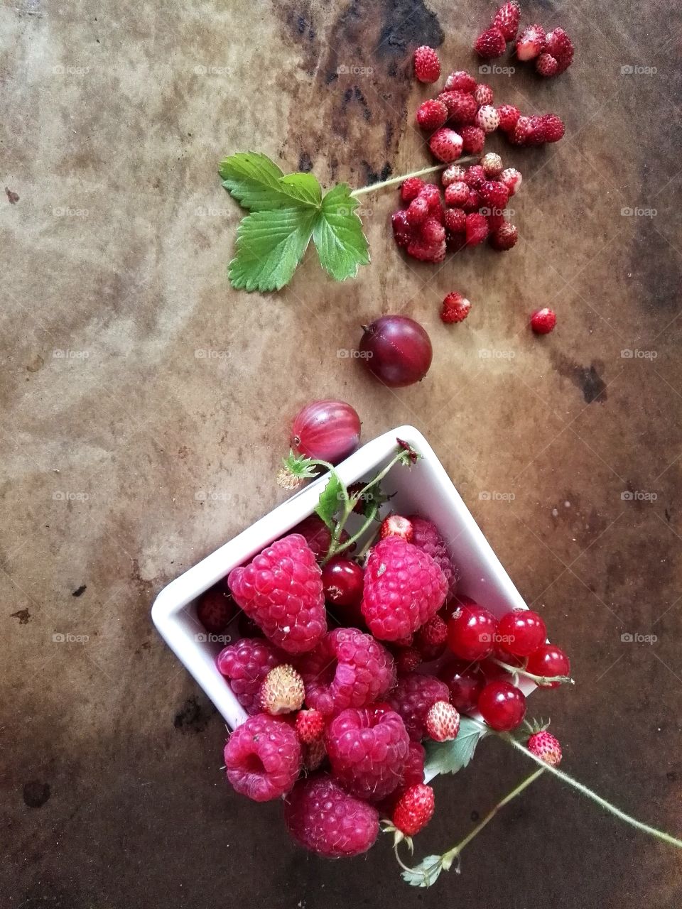 Beautiful fresh cut from bushes berries