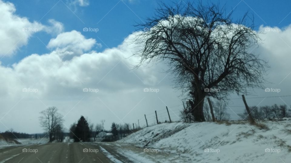 Winter, Snow, Tree, Landscape, Road