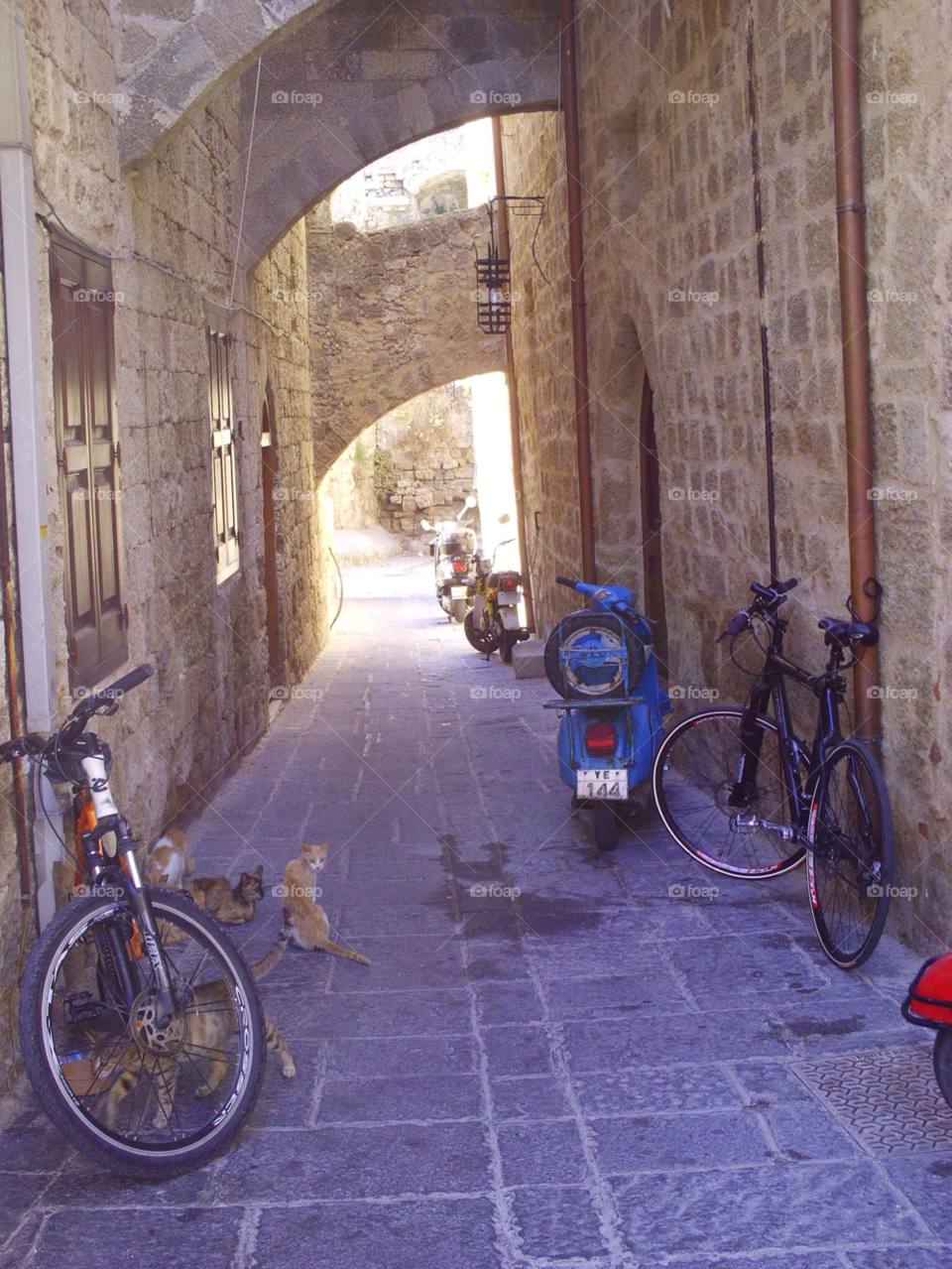 arched alleyway in lindos rhodes nosey cats watching by pawright68