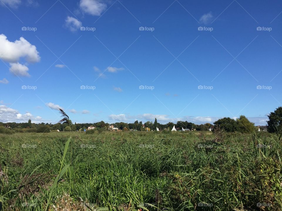 Marshes with boats