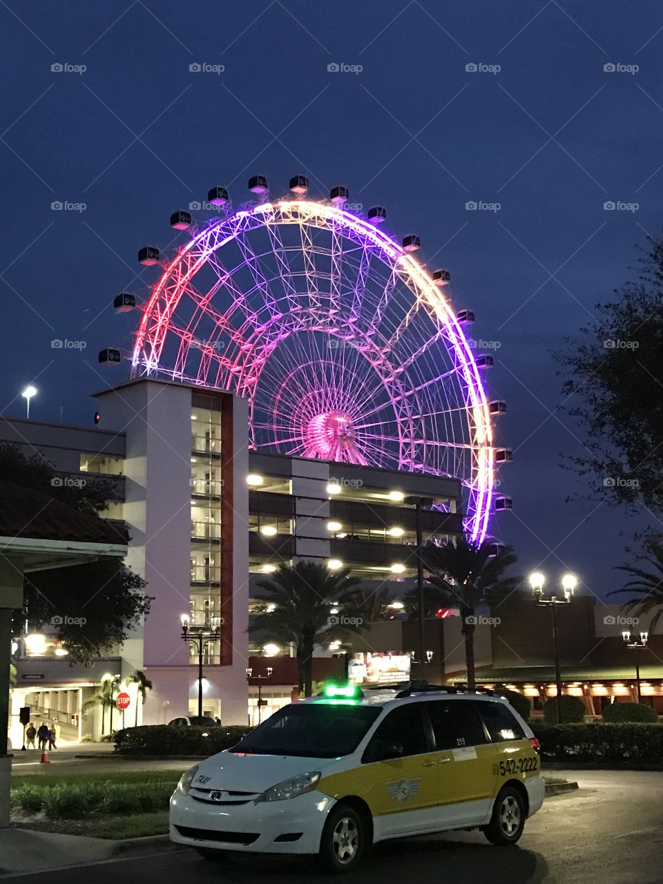 Orlando eye in pink. 
