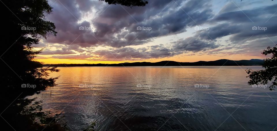 Looks Like Heaven - Speculator New York