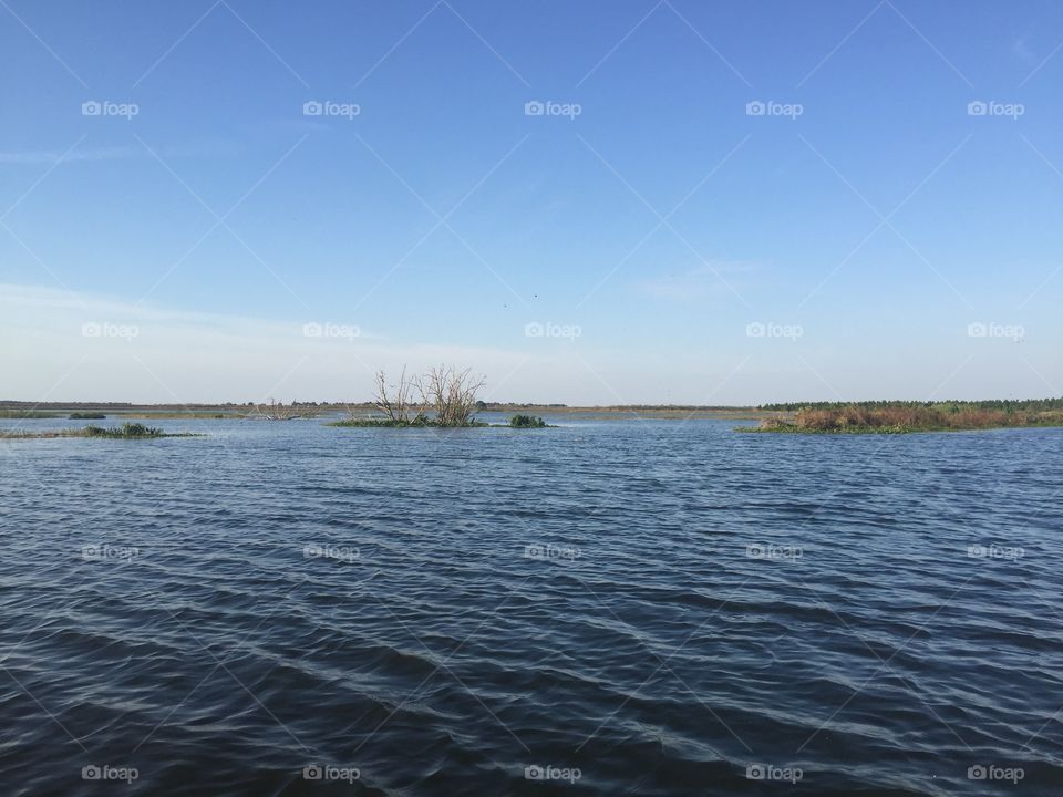 And we're just fishing. 