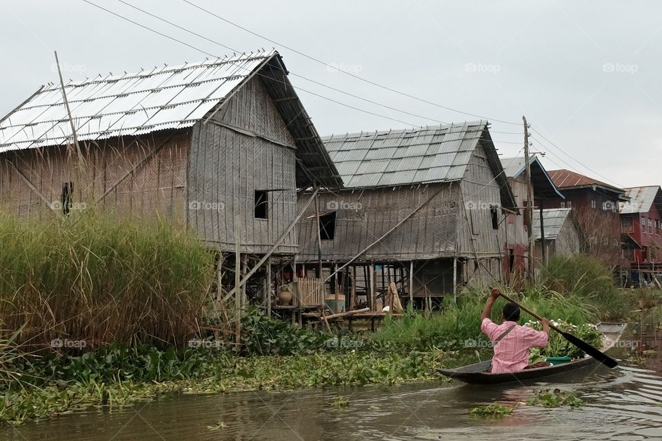 Houses on the lake