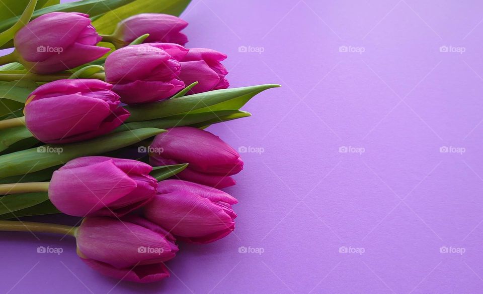 Bouquet of tulips 🌷🌷🌷🌷🌷