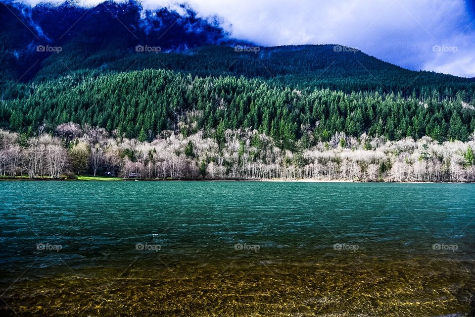 Shoreline in the mountain lake, BC Canada 