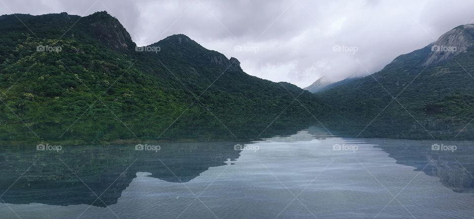 Green mat at the water...Poigai dam view from top..Countryside heaven.