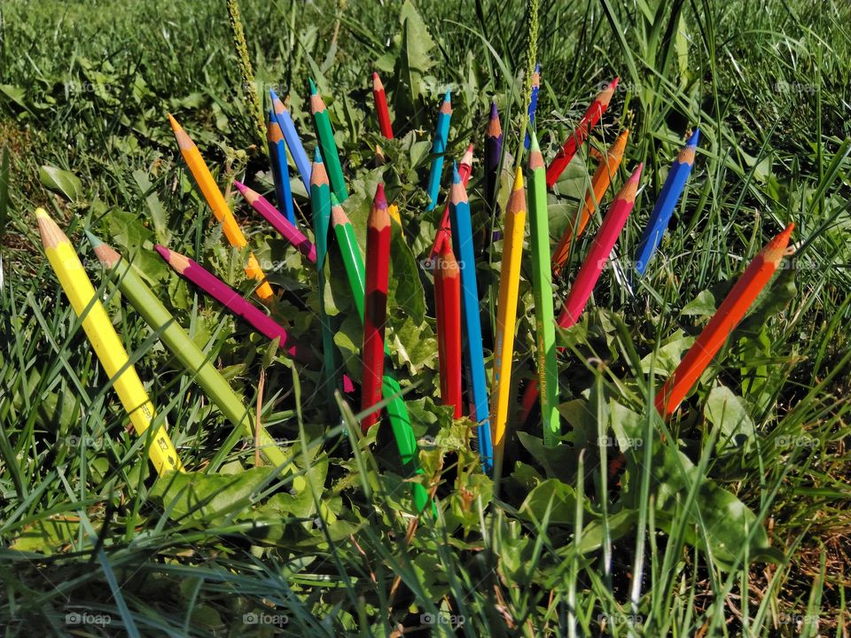 Pencils and grass