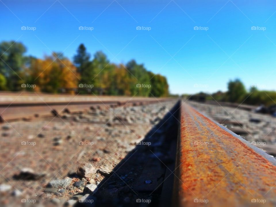 Railroad in the fall