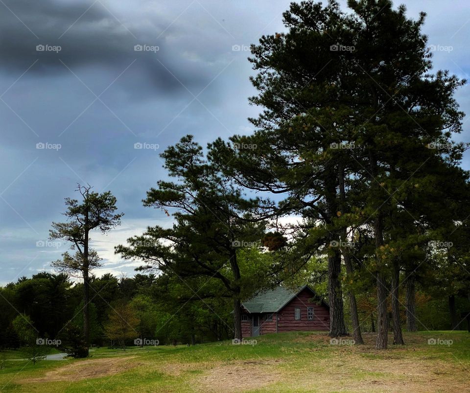 A cabin in the woods