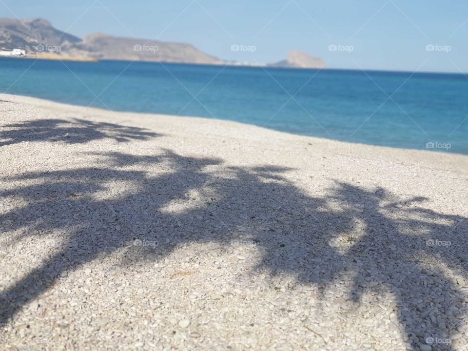 Shadow#palm#beach#sea#stones