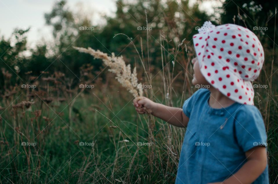 exploring the nature around us