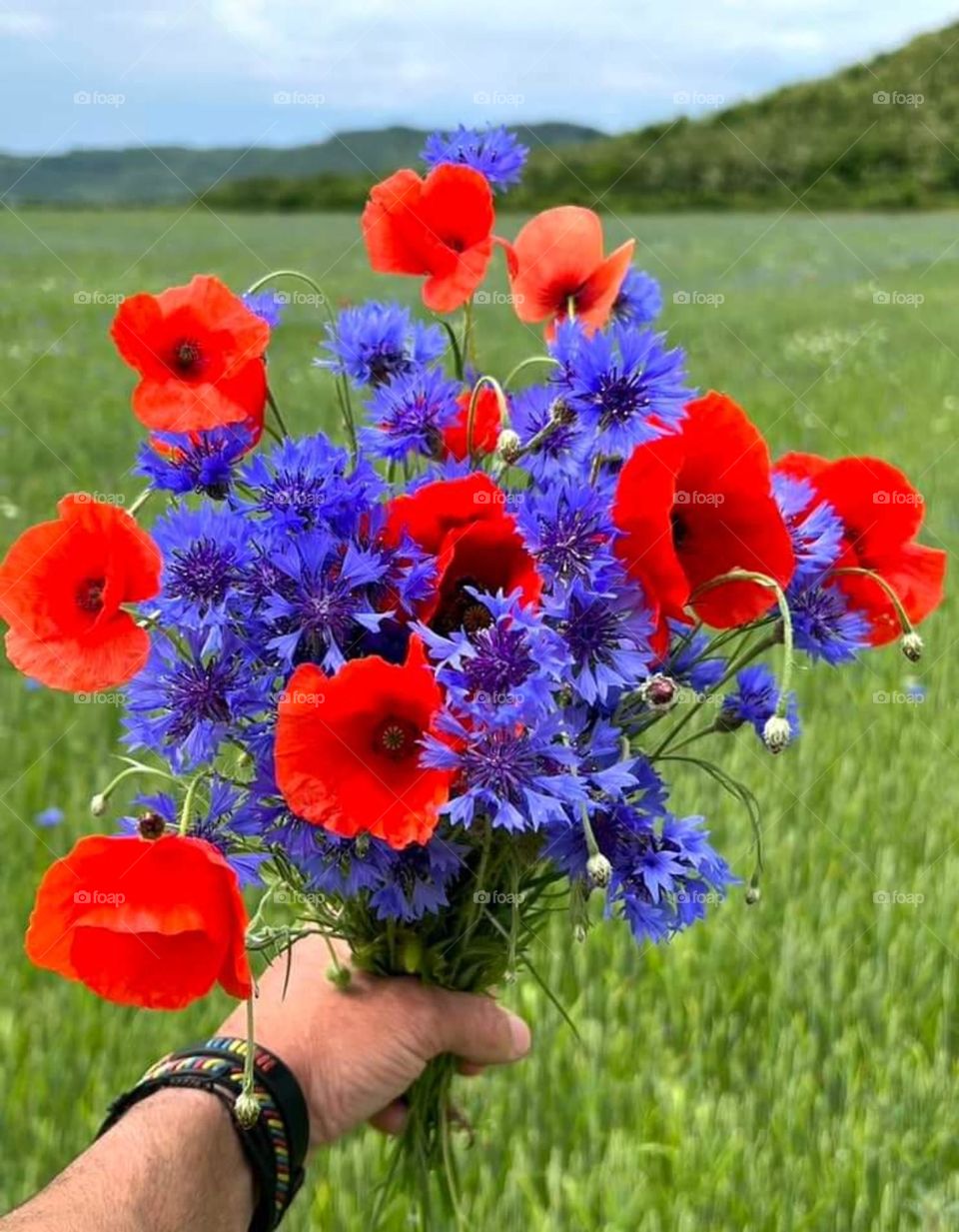 Lesson 2: join the premium mission