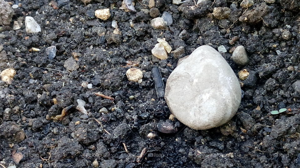Stein im Garten