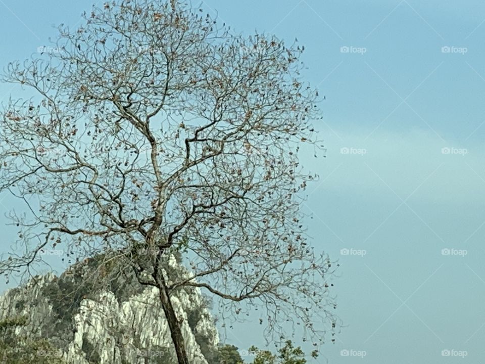 Shape of the nature, Countryside (Thailand)