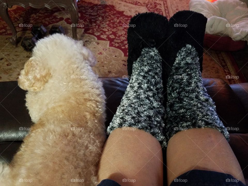 Slipper socks &  my dog on cold winter night.