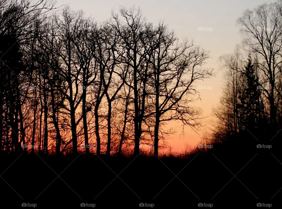 Sunset
