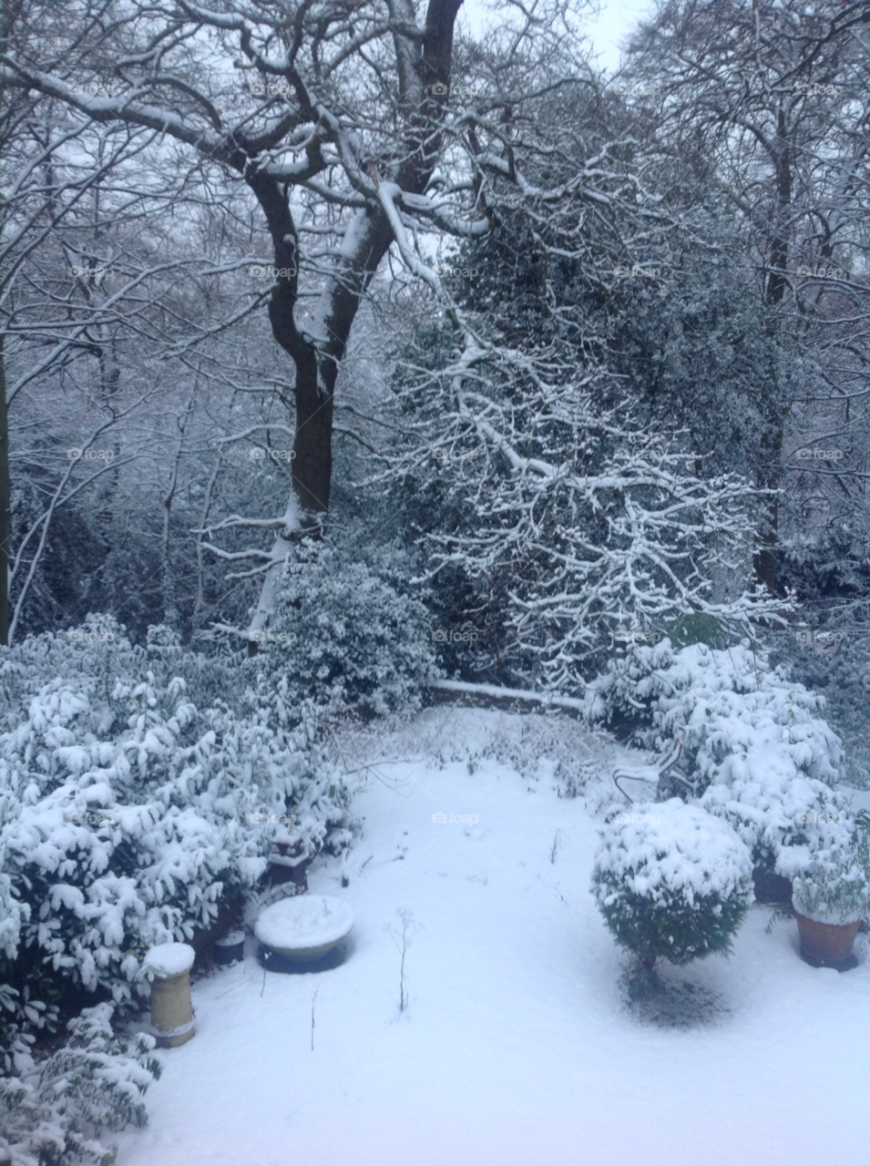 snow winter garden trees by ashepperdson