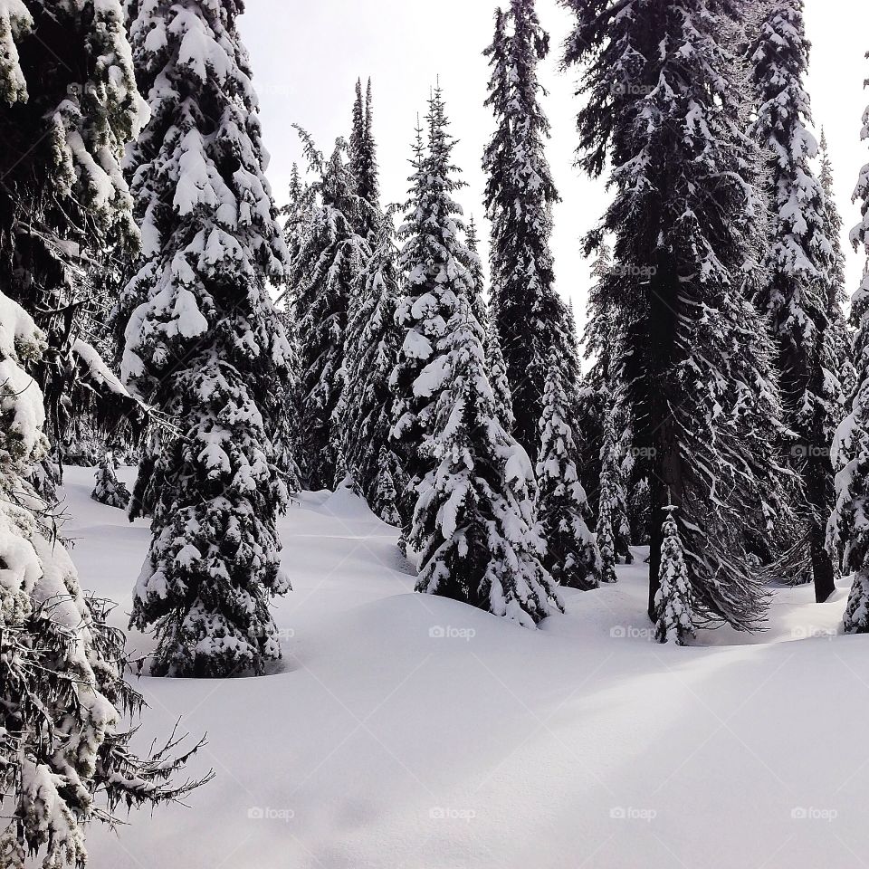 Big White Ski Resort, british columbia, Canada