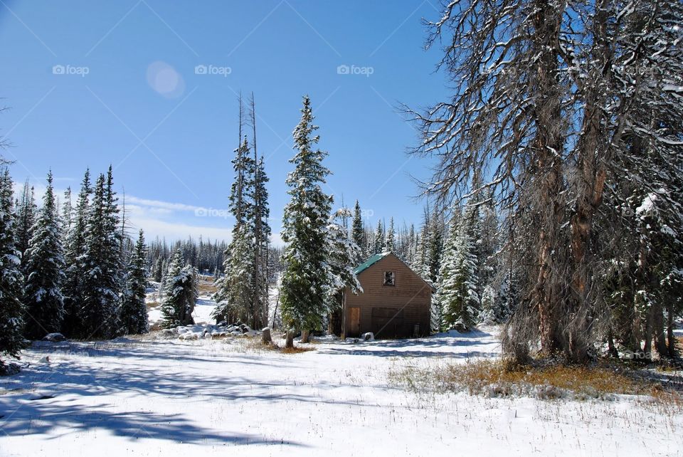 Looks Like Nobody is Home Yet in the High Snowy Range