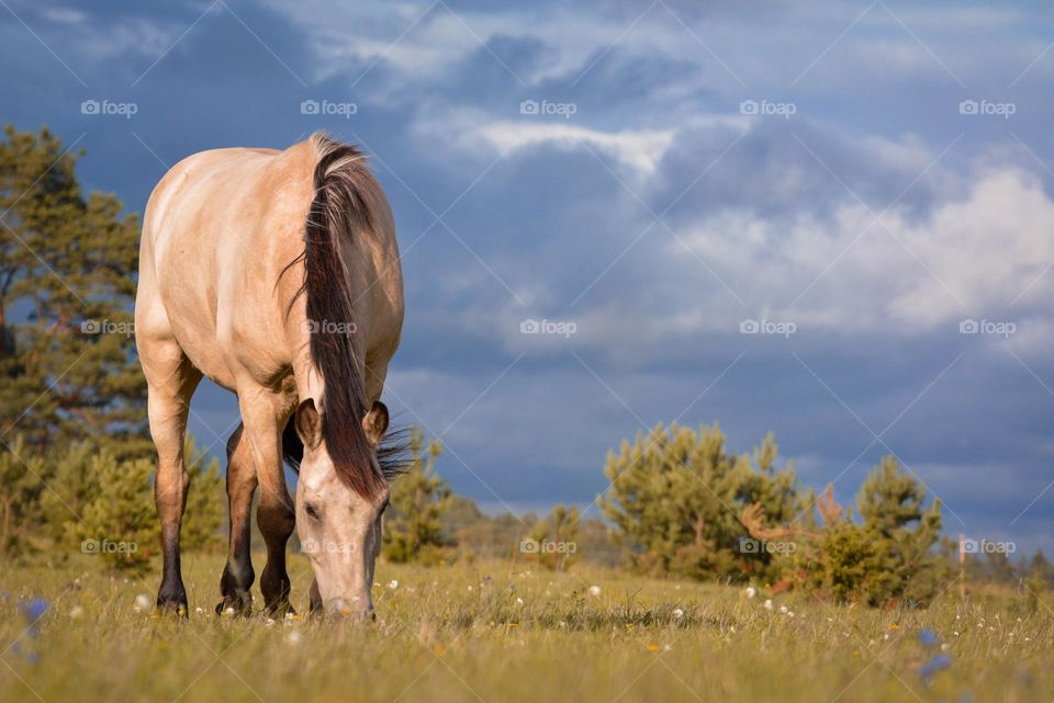 "Stormy clouds coming closer"