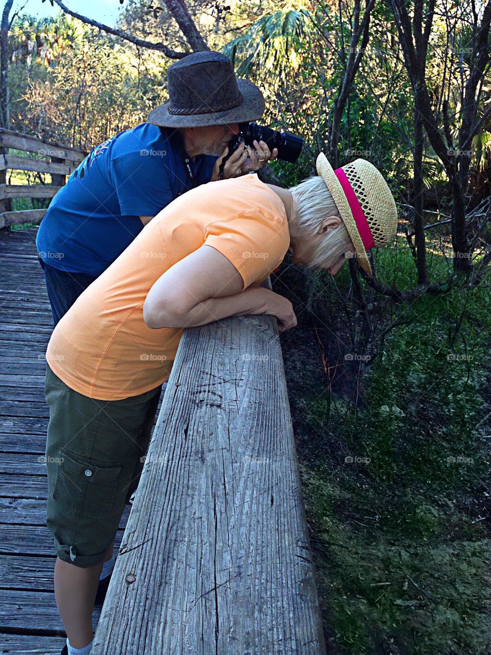 Trekking through a beautiful forest snapping photos and observing nature.