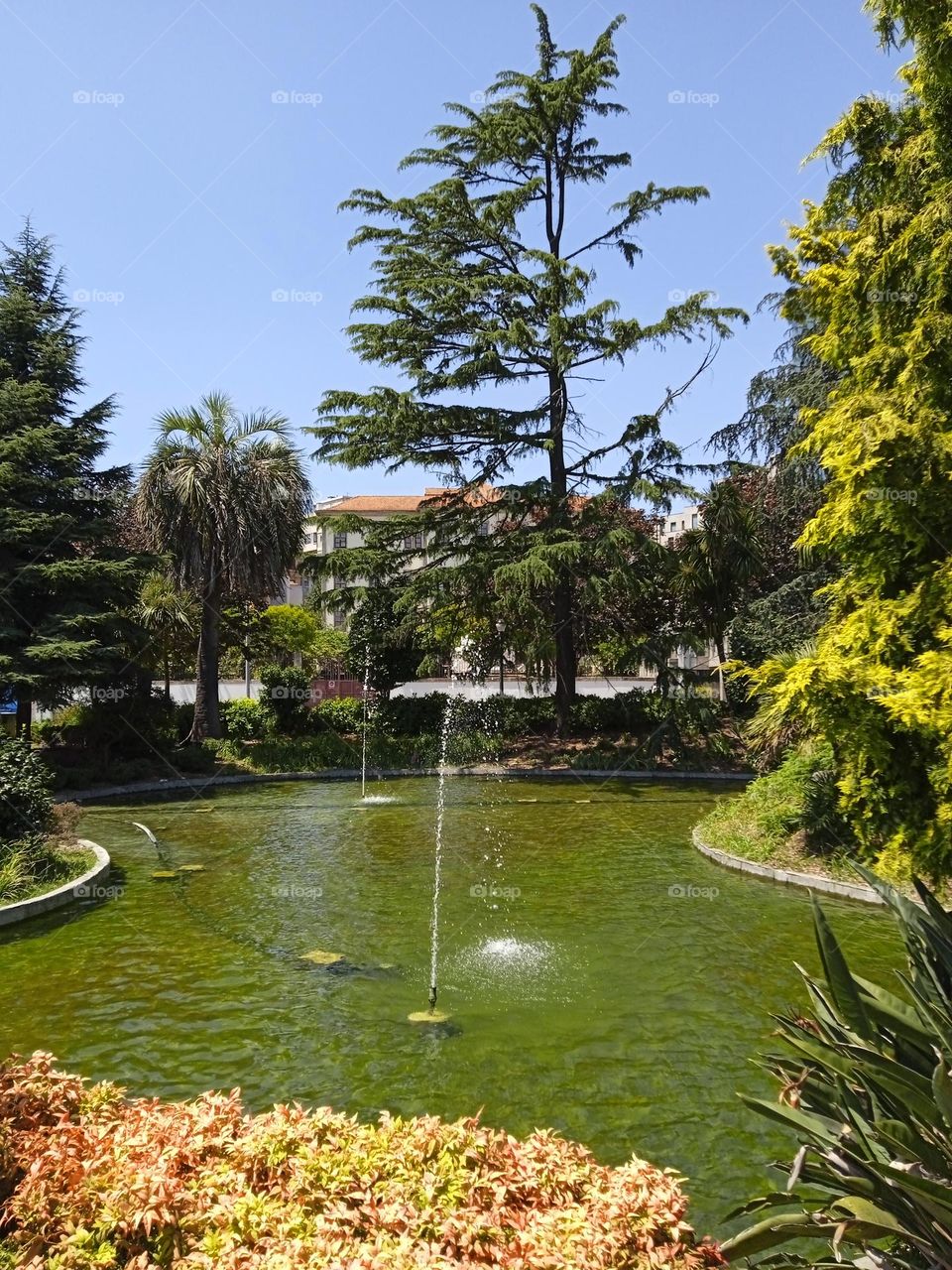 fountain in the middle of a garden in Porto