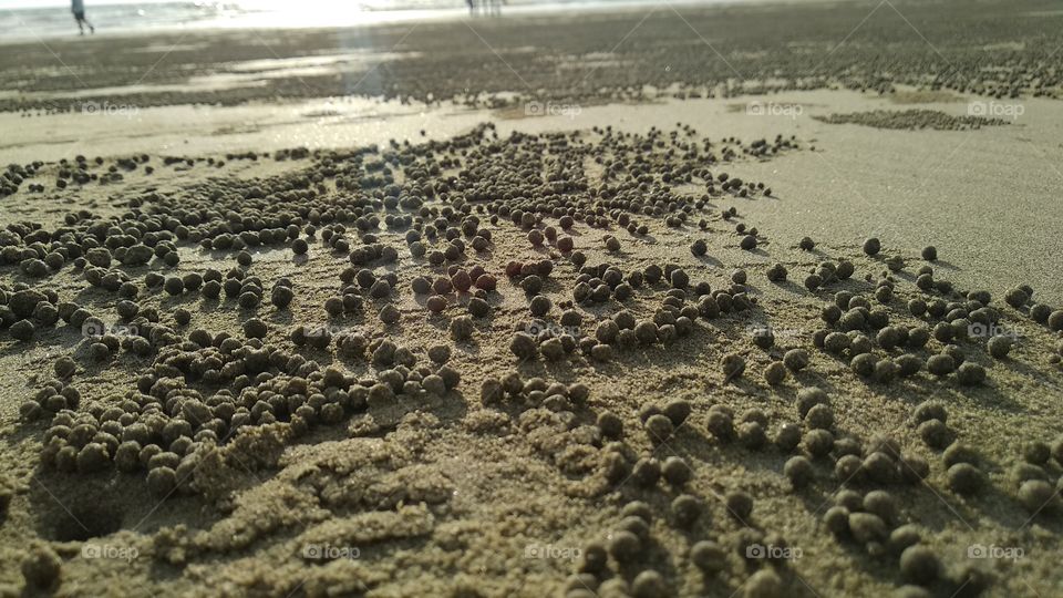 There were so many holes on the beach. they are definitely home of the little crabs