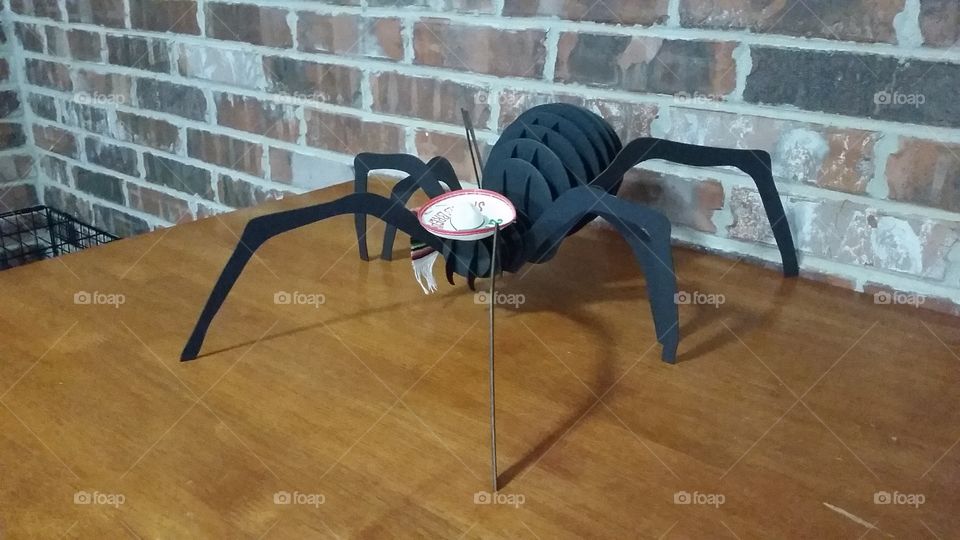 Seniora Spider