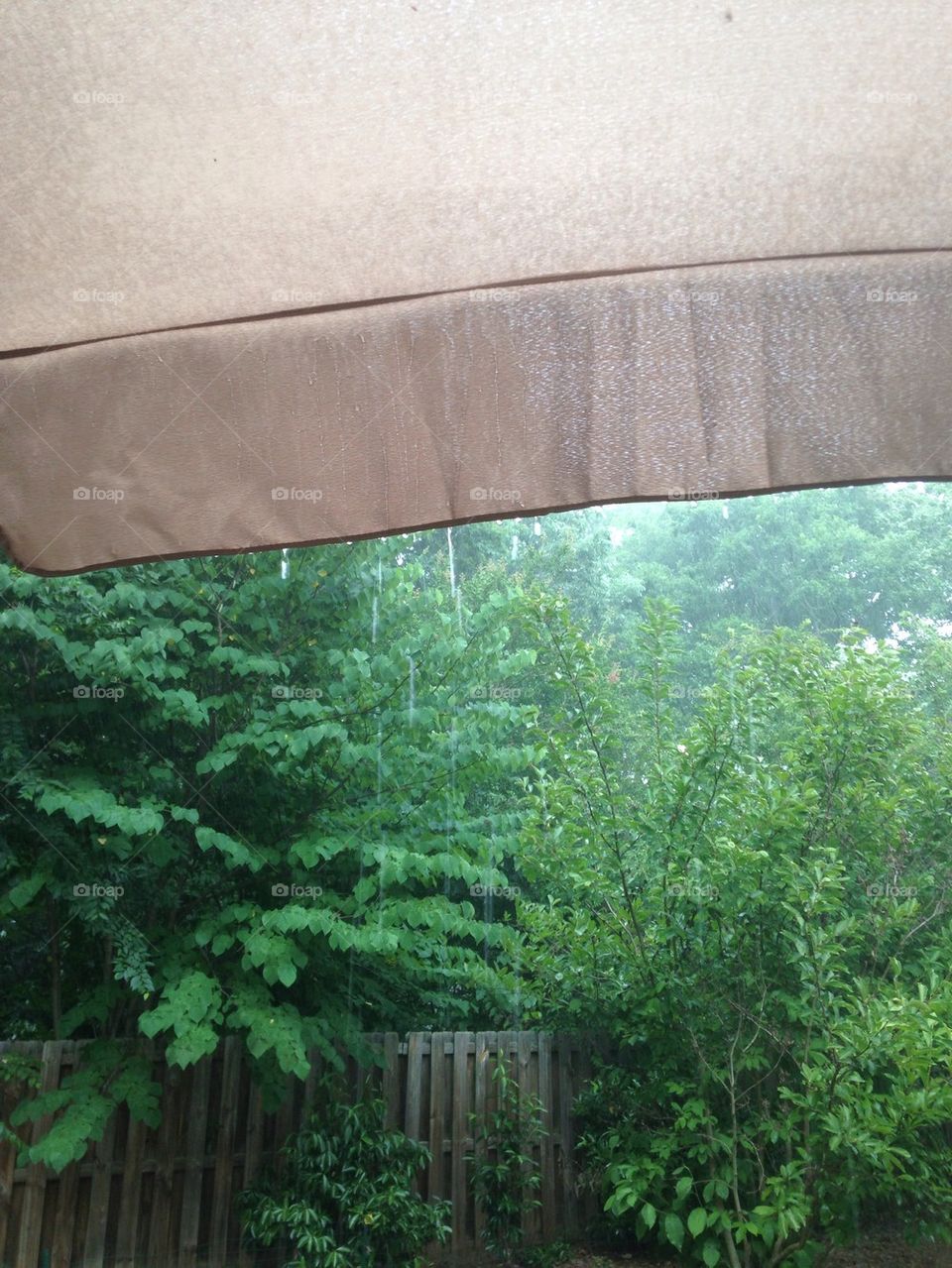 Summer rainstorm in my backyard