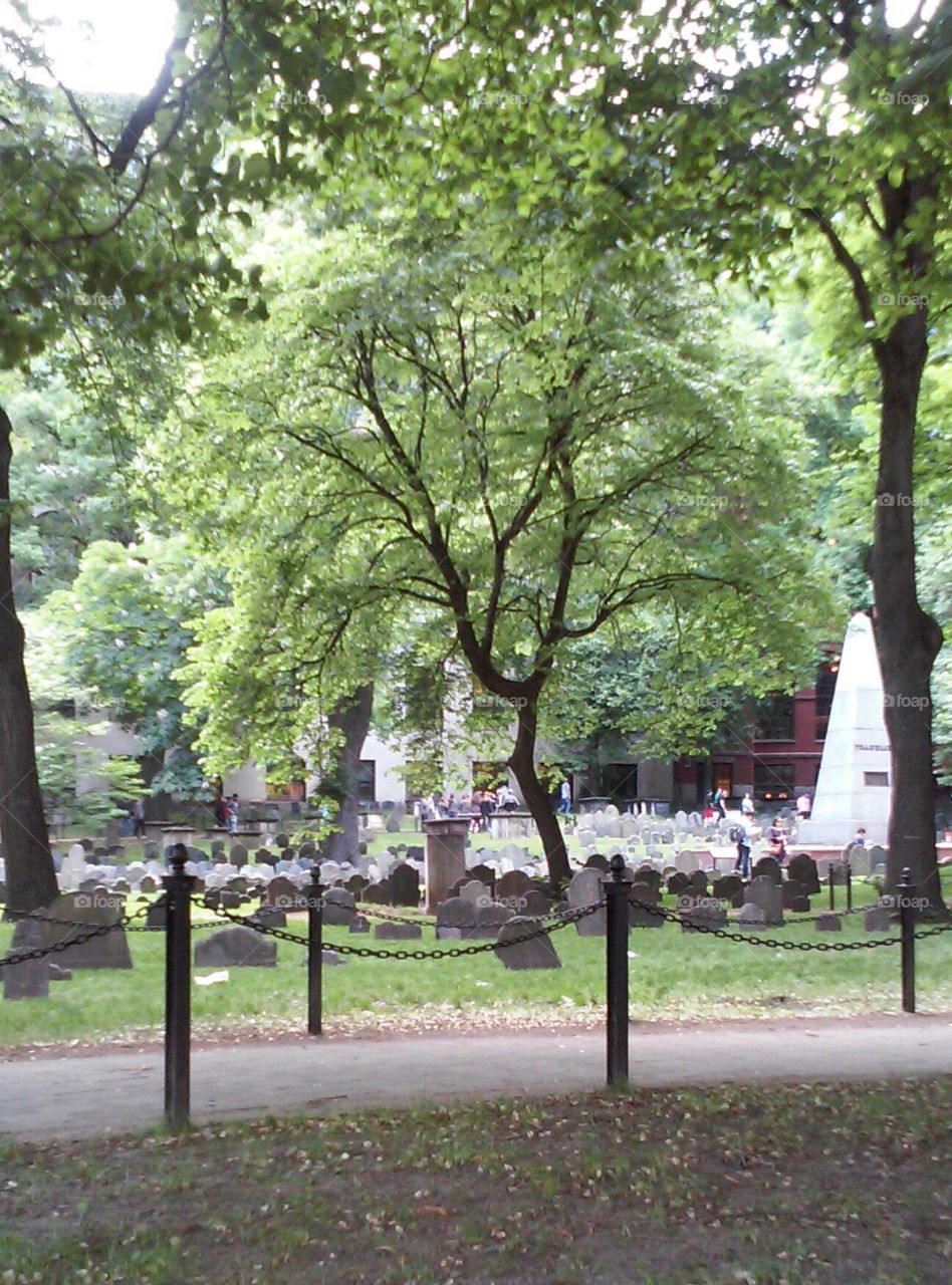 Historic cemetery 