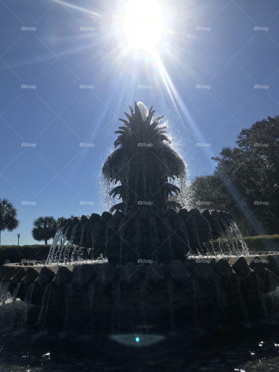 Pineapple fountain 