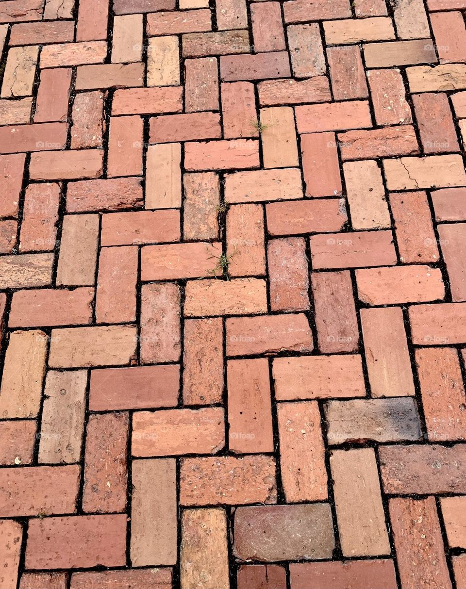 Brick sidewalk 