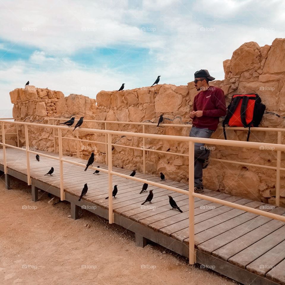 man standing against an ancient wall in the desert, with many black birds standing around him.