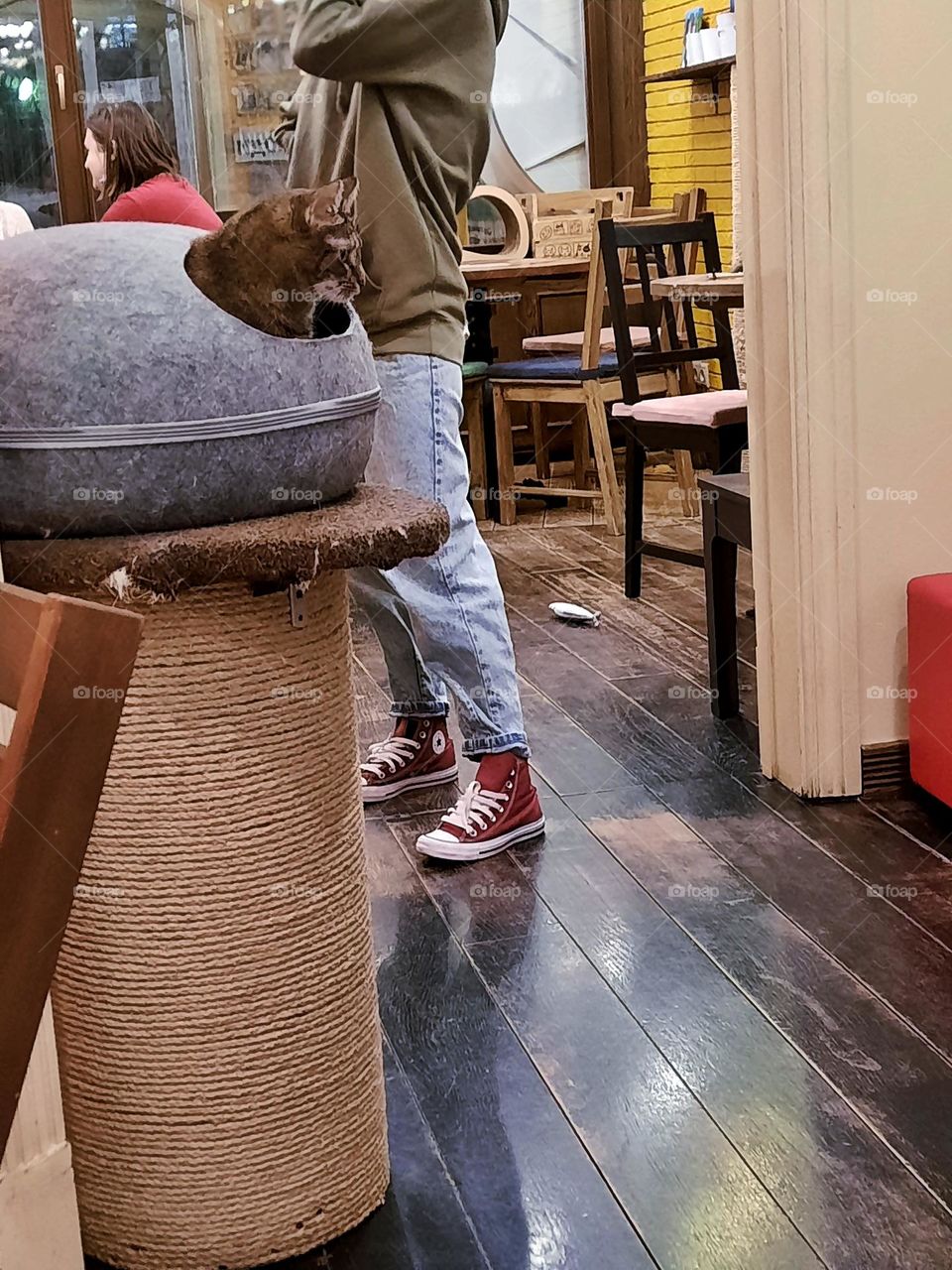 catcaffe,  you pay only for spending time into this place.